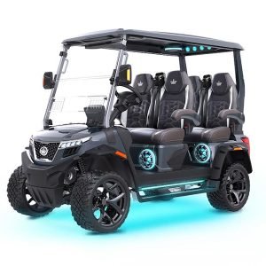 2025 Evolution D - Max XT4