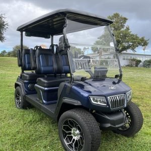 2025 Evolution D5 - Ranger 4 Blue