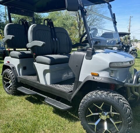 2024 Denago Golf Cart For Sale Gray