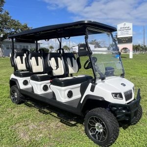 Street Legal 2025 Evolution D5 - 6 - Seater Luxury Lithium Electric Vehicle