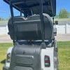 2024 Denago Golf Cart For Sale Gray