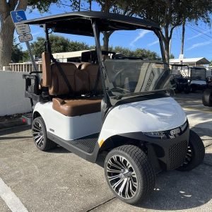 2026 E - Z - GO Freedom RXV ELiTE Lithium Bright White - Street Legal Electric Golf Cart Charleston SC