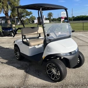 2024 E - Z - Passenger Electric Golf Cart)