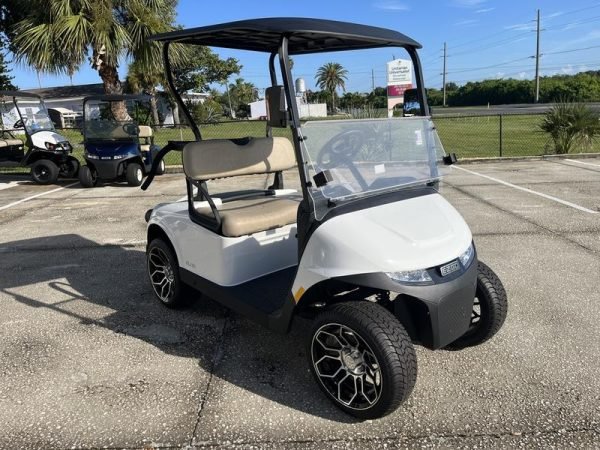 2024 E - Z - Passenger Electric Golf Cart)