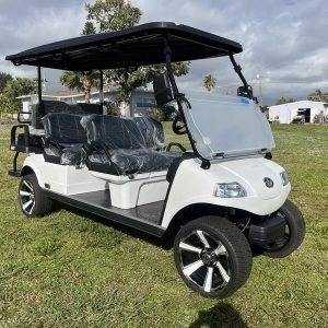 agc-fe94392b-a072-4fcc-8862-d5dbfaeffeb8 2025 Evolution Carrier 6 Plus Golf Cart - 6 - Seater Street Legal Electric Cart