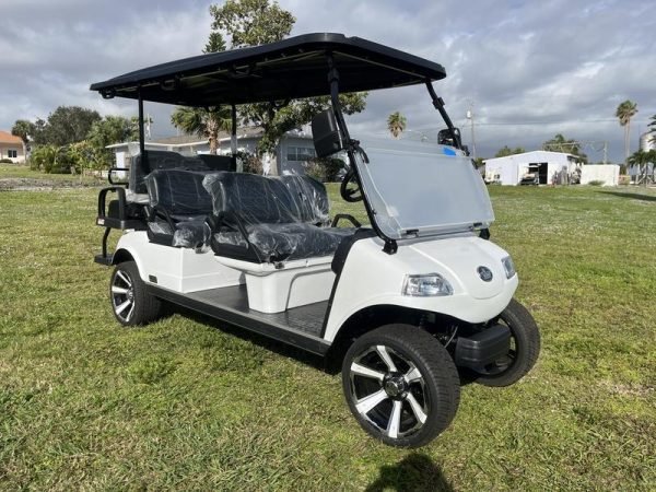 2025 Evolution Carrier 6 Plus Golf Cart - 6 - Seater Street Legal Electric Cart